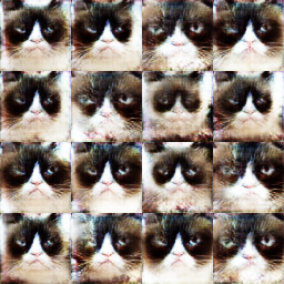 vanilla gan grumpy cat basic diffaug