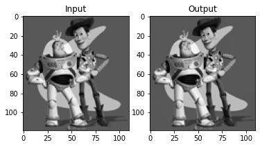 Identical Input and Output of Toy Problem