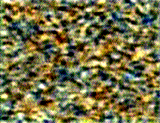 Layer 1 Texture Sythesis