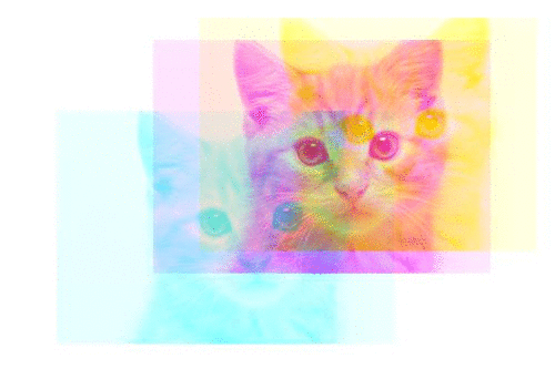 test_6_Cat_Faded_color_reverse_np.roll.gif